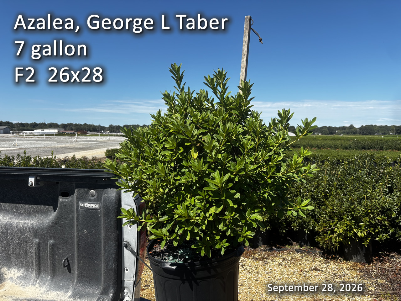 gallery/gt7 f2 sept28.jpg